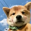 湖上山谷深